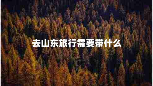 去山东旅行需要带什么