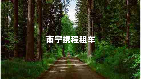 南宁携程租车