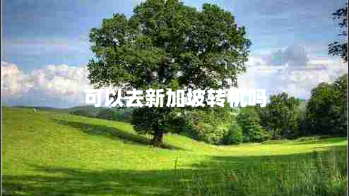 可以去新加坡转机吗