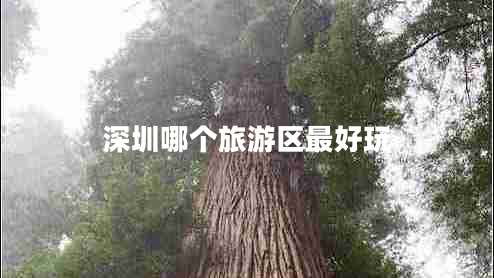 深圳哪个旅游区最好玩