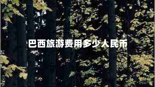 巴西旅游费用多少人民币