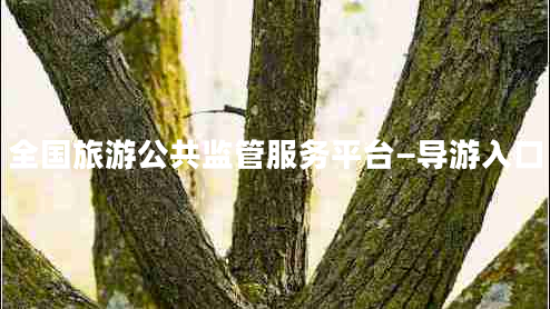 全国旅游公共监管服务平台—导游入口
