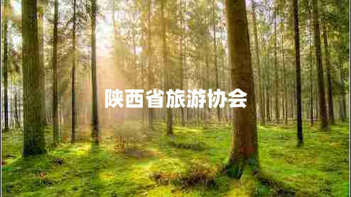 陕西省旅游协会