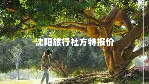 沈阳旅行社方特报价