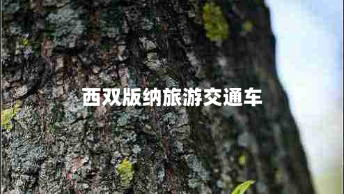 西双版纳旅游交通车