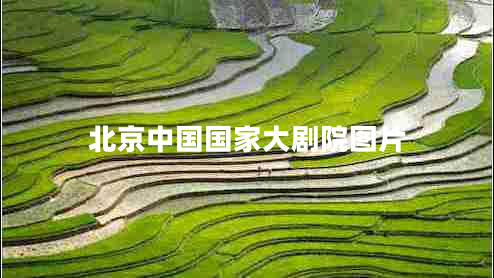 北京中国国家大剧院图片