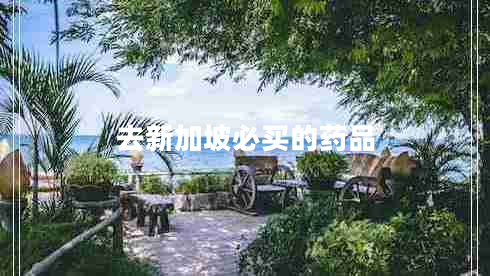 去新加坡必买的药品