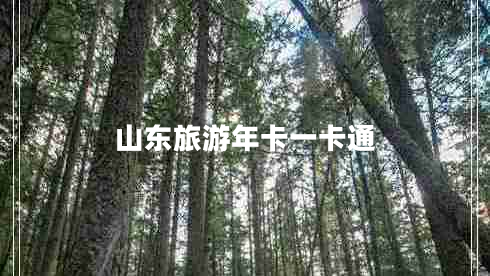 山东旅游年卡一卡通