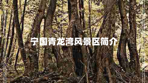 宁国青龙湾风景区简介