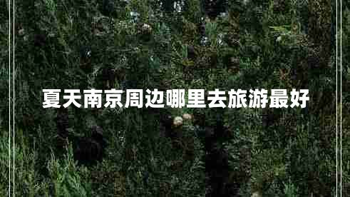 夏天南京周边哪里去旅游最好