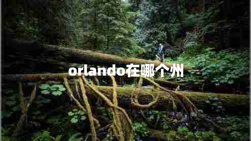 orlando在哪个州