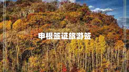 申根签证旅游签