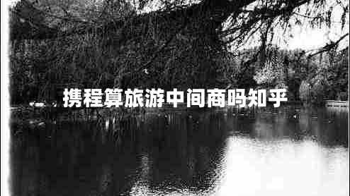 携程算旅游中间商吗知乎