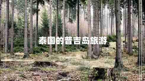泰国的普吉岛旅游
