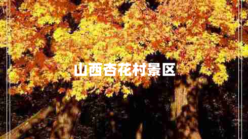 山西杏花村景区
