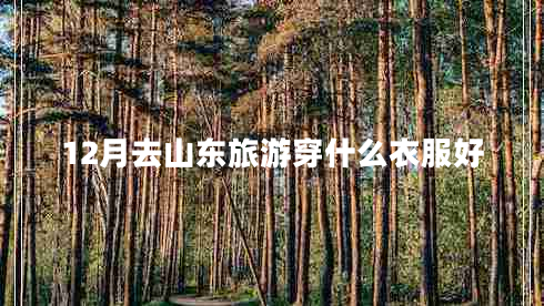 12月去山东旅游穿什么衣服好