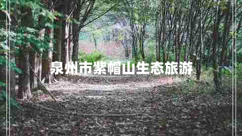 泉州市紫帽山生态旅游