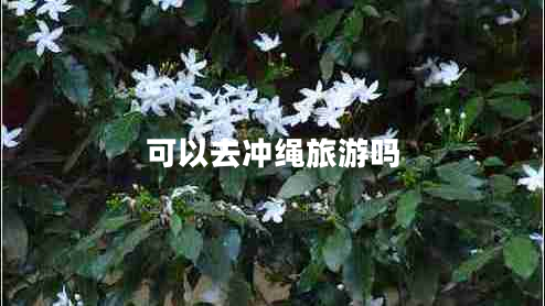 可以去冲绳旅游吗