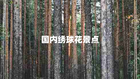 国内绣球花景点