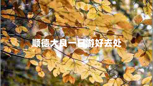 顺德大良一日游好去处