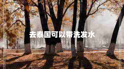 去泰国可以带洗发水