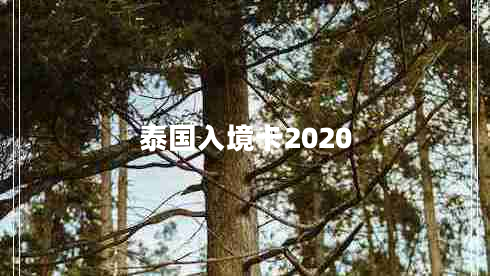 泰国入境卡2020