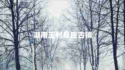 湖南王村悬崖古镇 湖南王村悬崖古镇