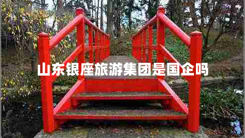 山东银座旅游集团是国企吗
