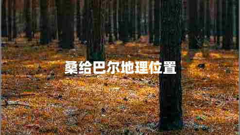 桑给巴尔地理位置