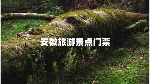 安徽旅游景点门票