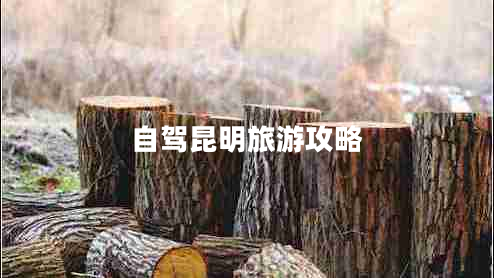 自驾昆明旅游攻略