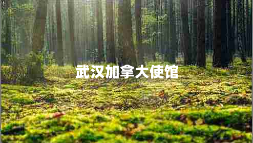 武汉加拿大使馆