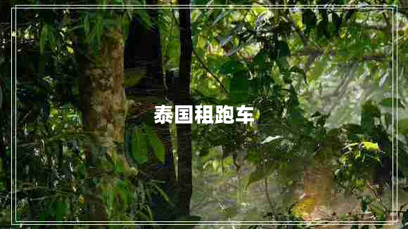 泰国租跑车