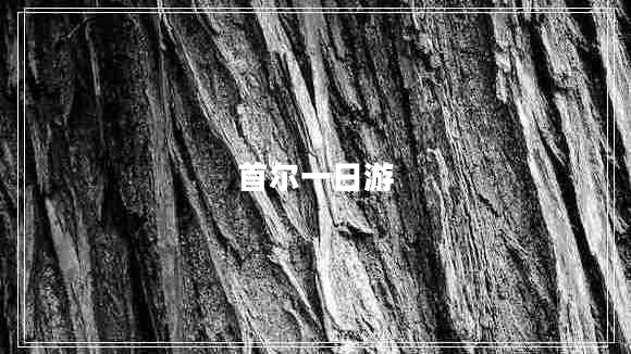首尔一日游