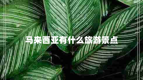 马来西亚有什么旅游景点