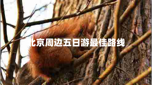 北京周边五日游最佳路线