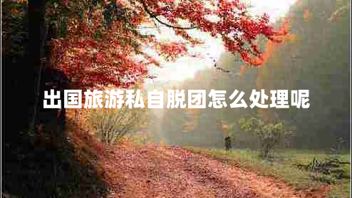出国旅游私自脱团怎么处理呢 出国旅游私自脱团怎么处理呢