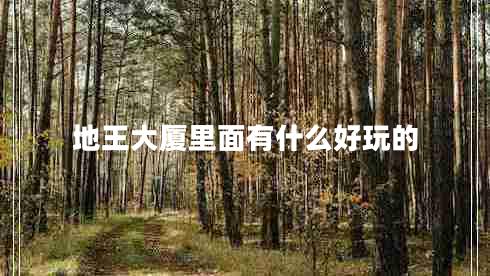 地王大厦里面有什么好玩的