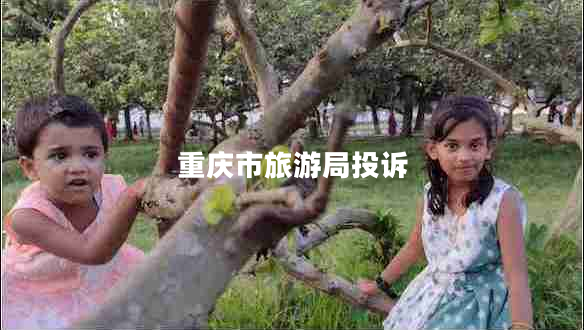 重庆市旅游局投诉