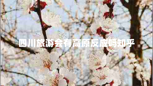 四川旅游会有高原反应吗知乎