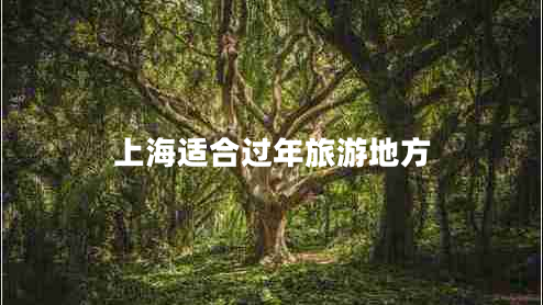 上海适合过年旅游地方