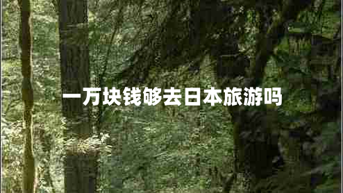 一万块钱够去日本旅游吗
