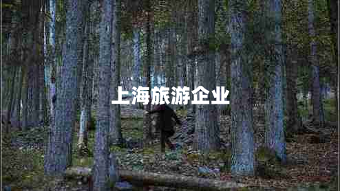 上海旅游企业
