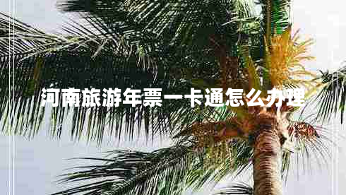 河南旅游年票一卡通怎么办理