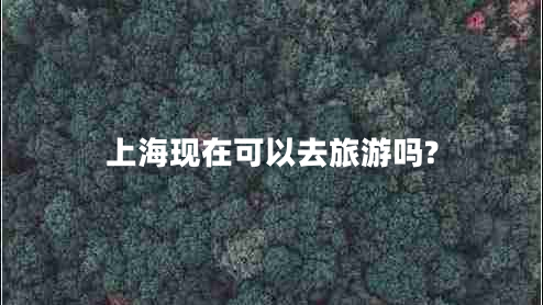 上海现在可以去旅游吗?