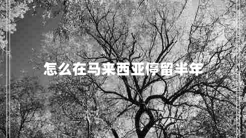 怎么在马来西亚停留半年