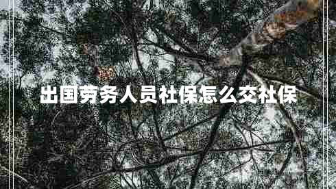 出国劳务人员社保怎么交社保
