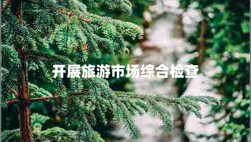 开展旅游市场综合检查
