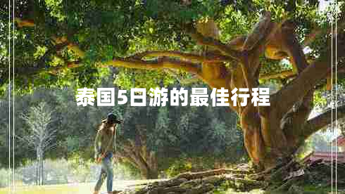 泰国5日游的最佳行程