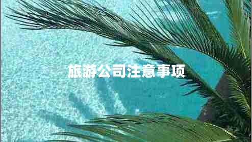 旅游公司注意事项